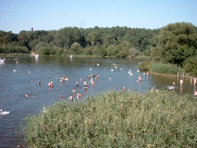 Lieper Bucht (Steglitz-Zehlendorf)