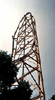 Top Thrill Dragster