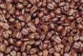 Kopi-Luwak-Kaffee